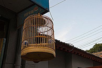 KK官方对战平台新图推荐，踏上江湖巅峰，掌控武林命运